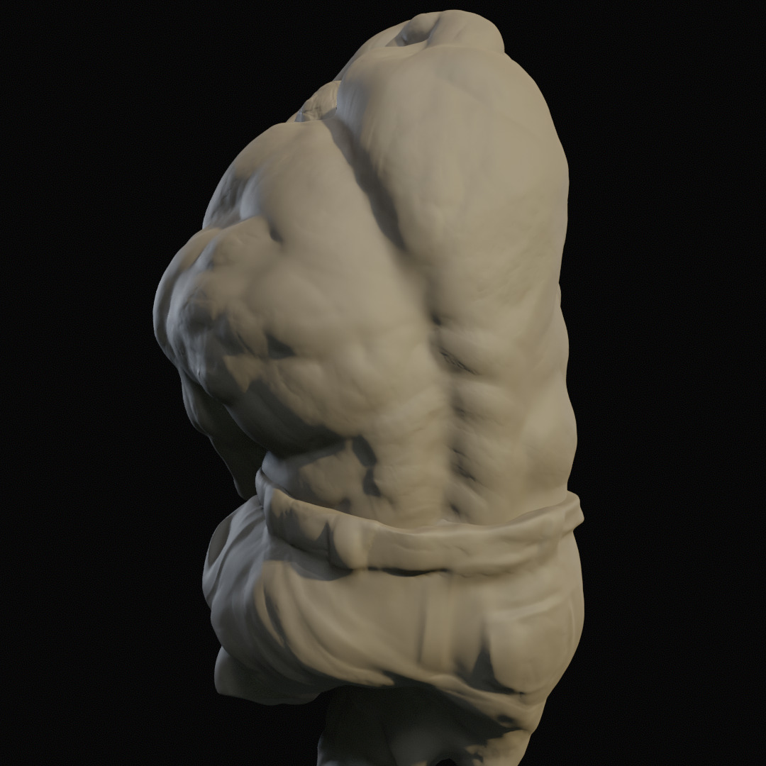 templar_monk's tweet photo. Práctica de anatomía de torso, siguiendo las clases de Rafa Souza. 

#zbrush #zbrushsculpt #zbrushart #3dmodeling https://t.co/Wrj4seyXaW