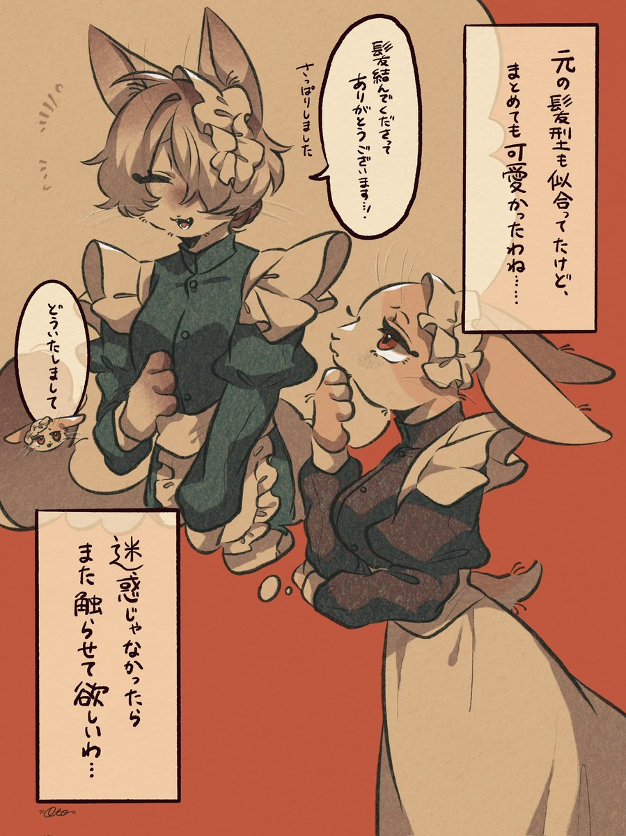 🐰🐱 