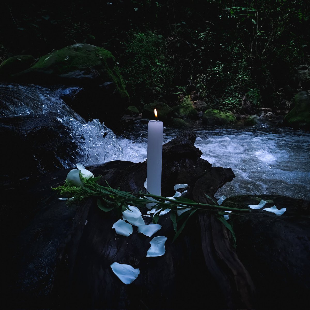 "El dolor nunca podrá doblegar tu voluntad" 🕯️

Nuevo sencillo ~Trémoluz~ disponible a partir del próximo jueves 7 de agosto en YouTube

#Omnianthropy #Trémoluz