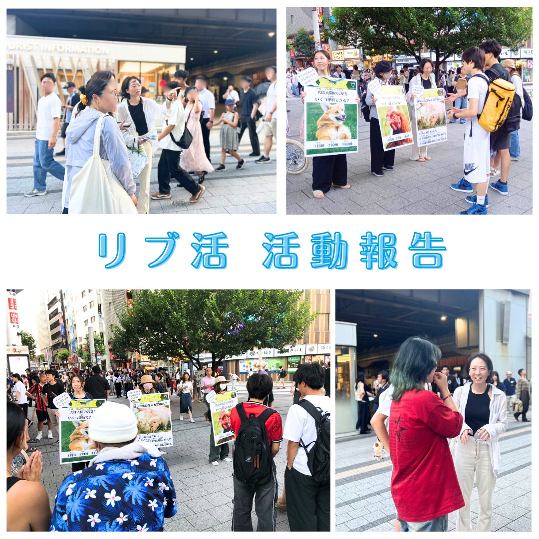 NPO法人動物解放団体リブ tweet media