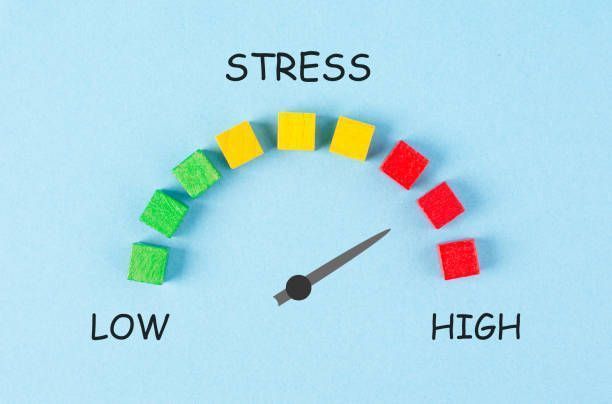 DTNEtiquette's tweet photo. Being mindful increases your self-awareness and helps you better monitor your stress levels throughout the day, allowing you to make the necessary adjustments. ~ #DTN #Works4Me #PracticeMindfulness #StressManagement https://t.co/AP0mVT9WTn