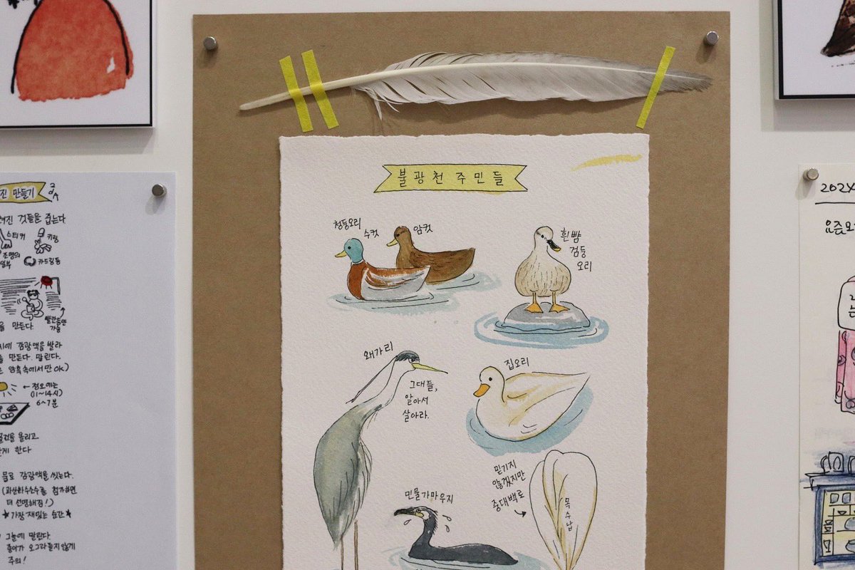 thanksbooks's tweet photo. 이다 작가가 글과 그림으로 담은 일기, 책에 실린 도감과 지도들의 원본, 도시 관찰을 하며 수집한 깃털과 꽃잎 등 다채로운 기록물을 만나보실 수 있어요. 

귀엽고 기묘한 풍경들, 소박하지만 웃음을 주는 장면들, 그리고 때로는 마음을 콕 찌르는 문장들까지 전시에 오셔서 두루 살펴보세요. https://t.co/orkBAnNZek