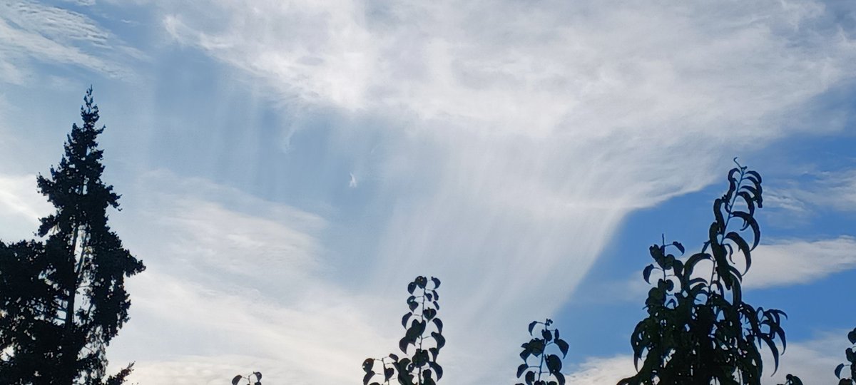 Today's Twilight Zone: Part 2
Leaking chemical clouds!