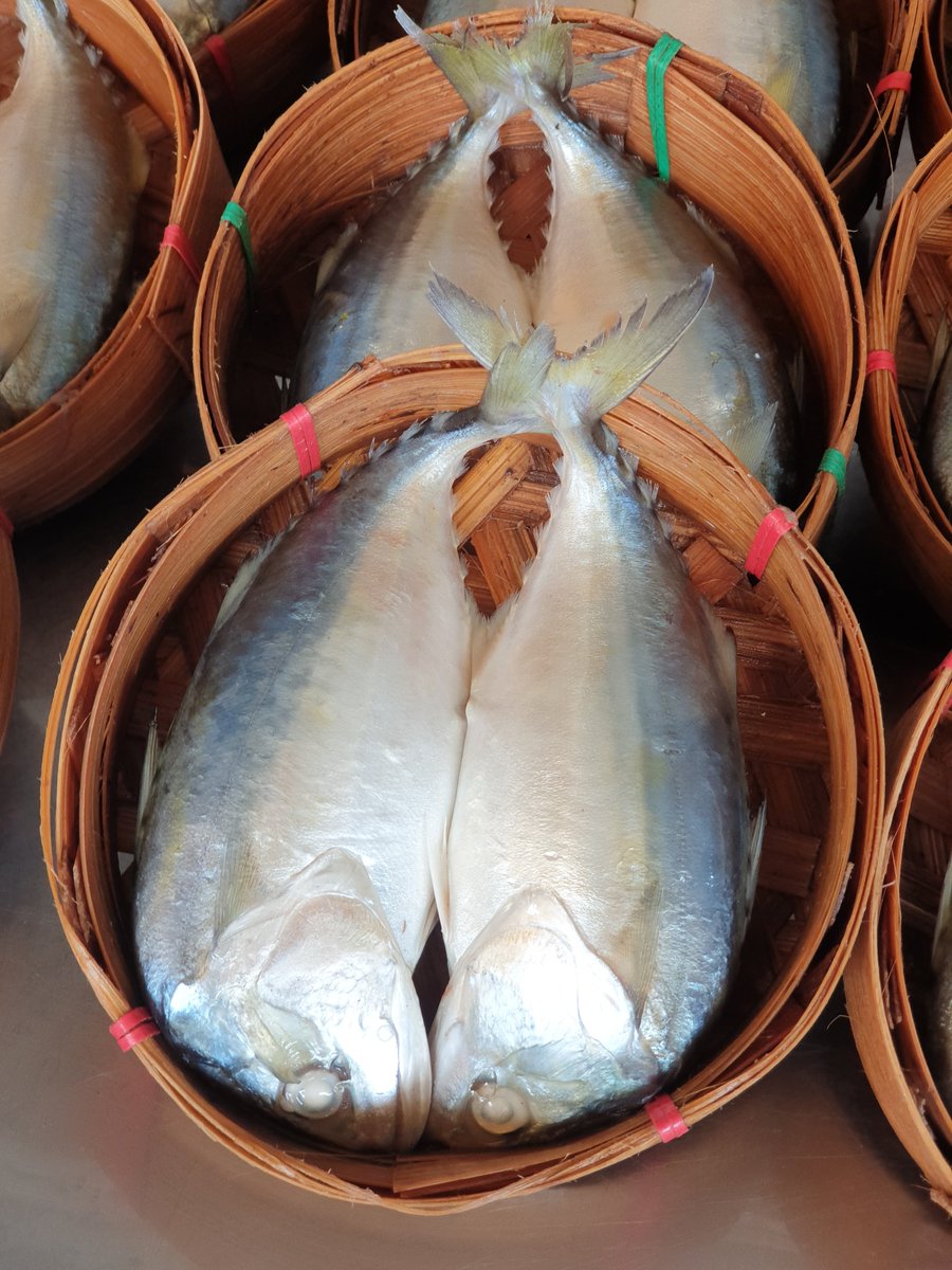 KwansriR's tweet image. ปลาทูนึ่งร้านเจ้นา ตลาดพระราม5 สดสะอาด ไม่เค็ม รสชาติกำลังดีเลย เป็นร้านประจำของเราไปแล้ว😊
