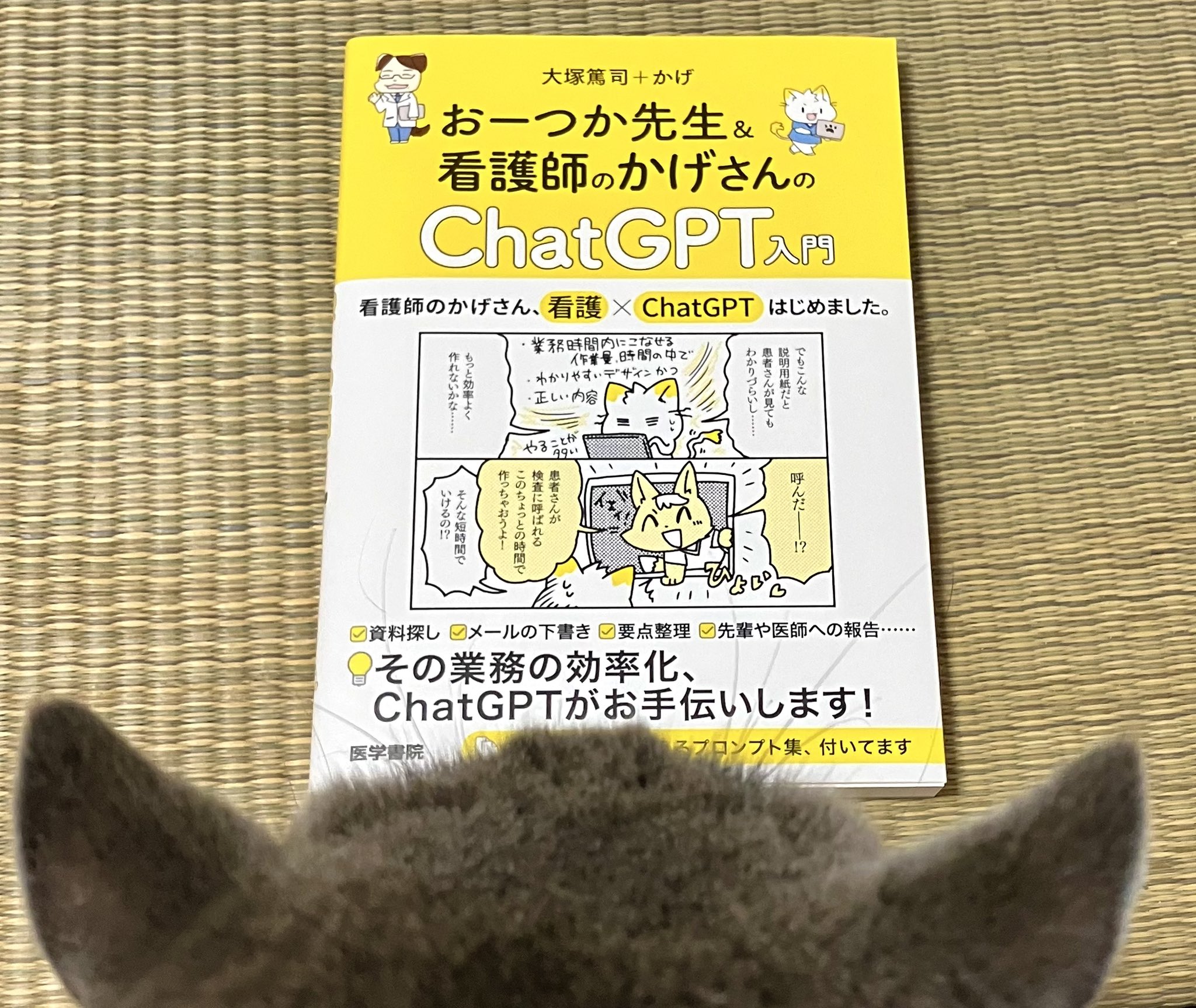 医学書院 看護 全14冊 教科書・参考書 | 看護 | 書籍 | 医学書院