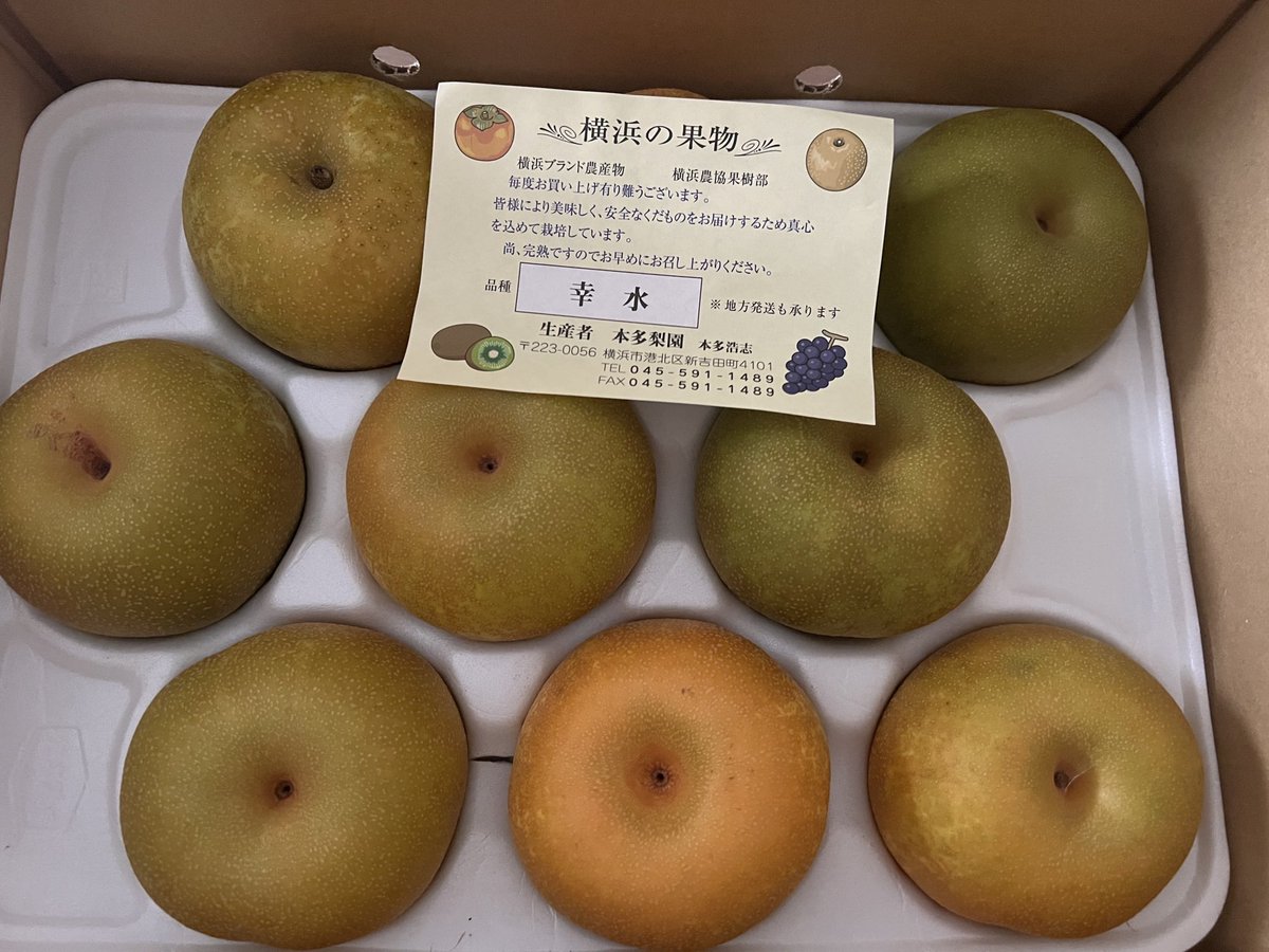 浜なし - Search / X