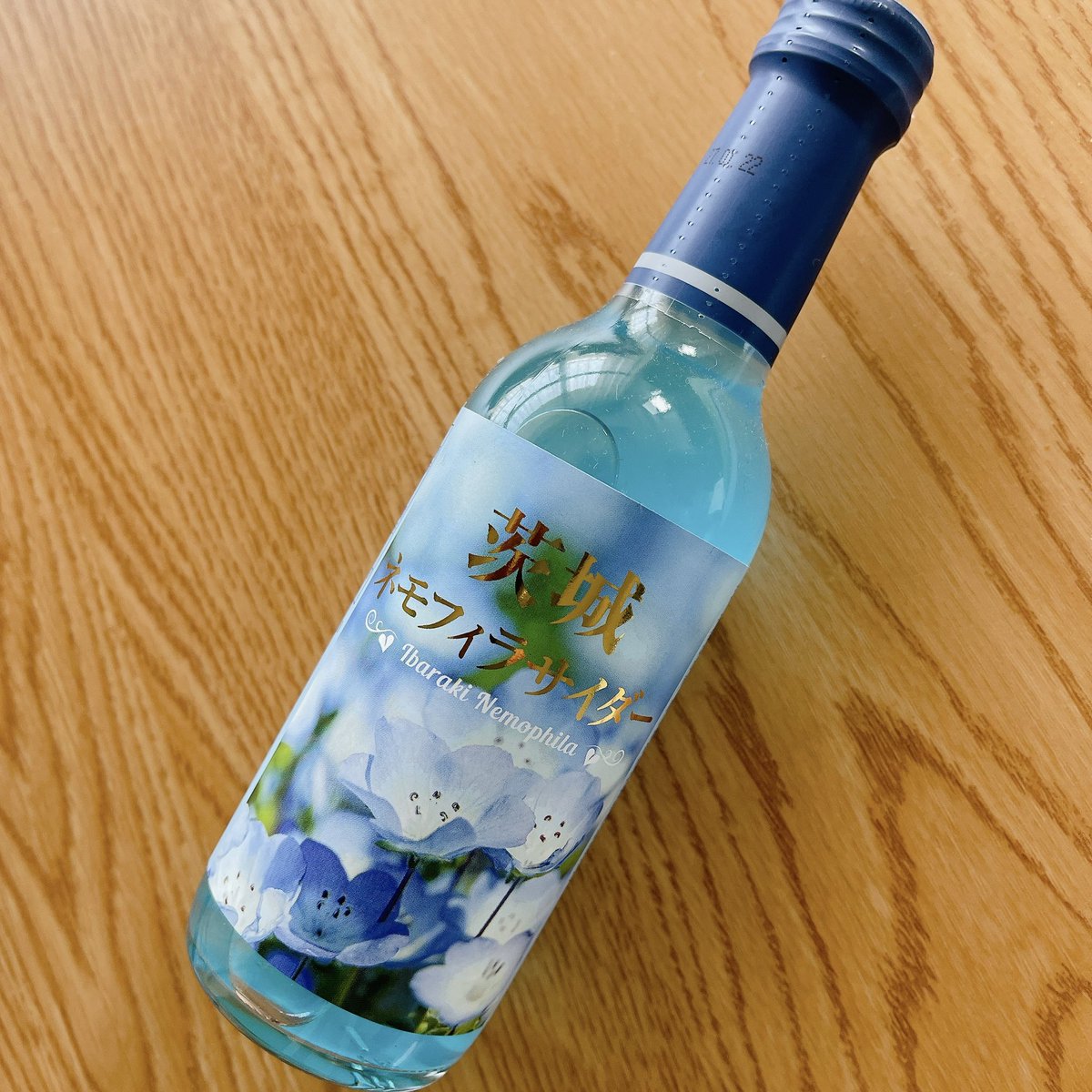 茨*家様 未開封／青花冷酒専用ケース付き おばらきー🌞 ネモフィラサイダーを飲みました👀✨ ボトルがとっても