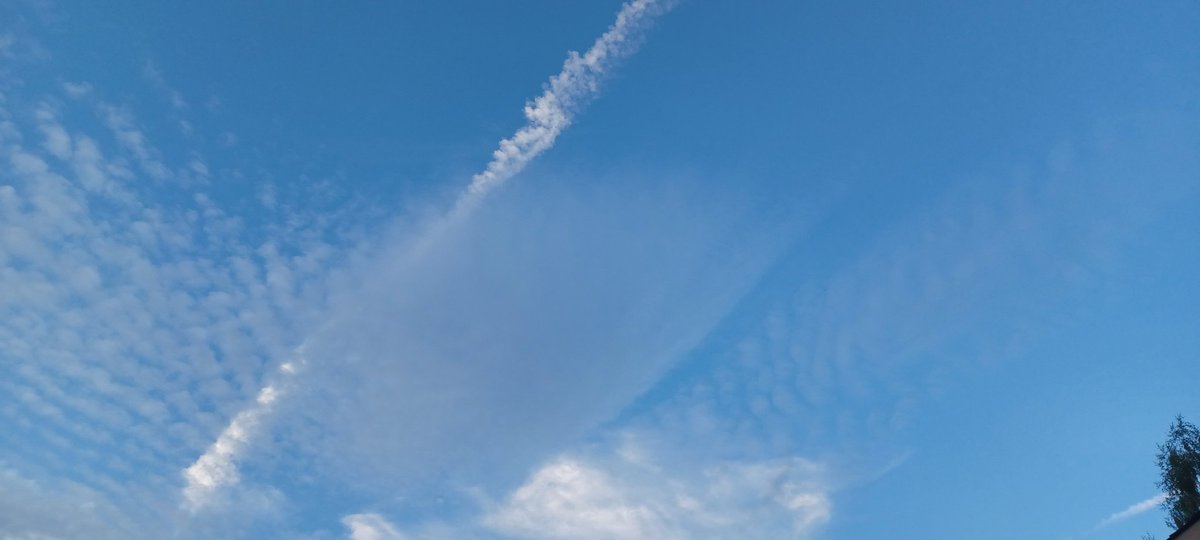 Today's Twilight Zone: Part 3
Weird and SAD 😔