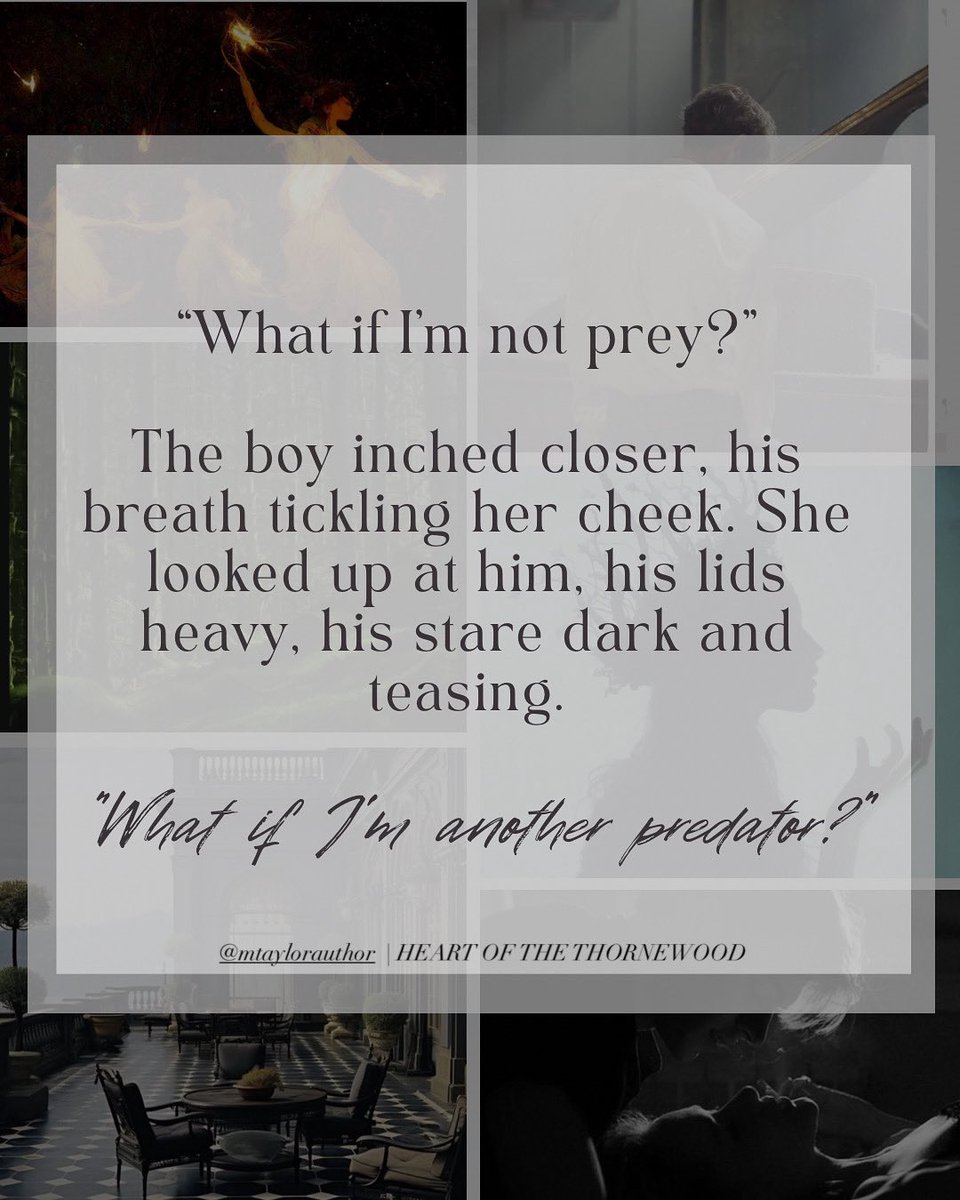 Max is ✨querying✨ tweet media