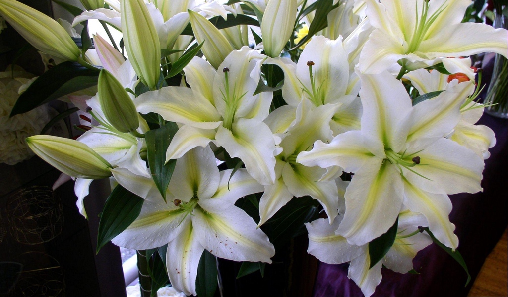 Мария Самсонова 💕 tweet media