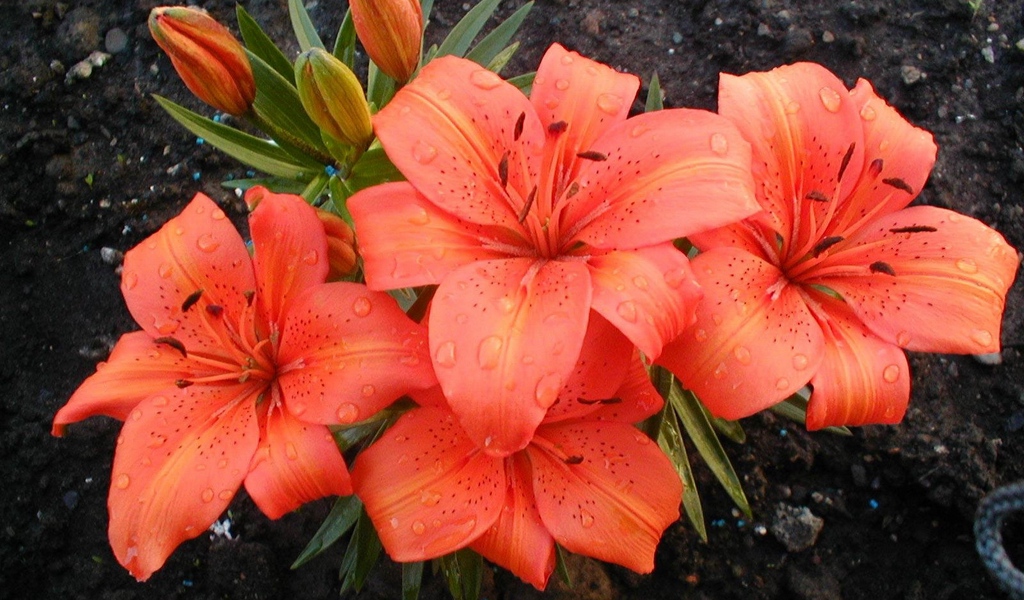 Мария Самсонова 💕 tweet media