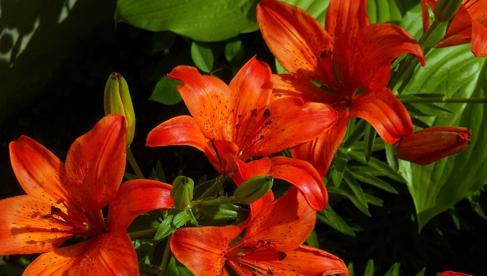 Мария Самсонова 💕 tweet media