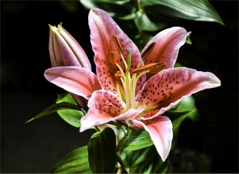 Мария Самсонова 💕 tweet media