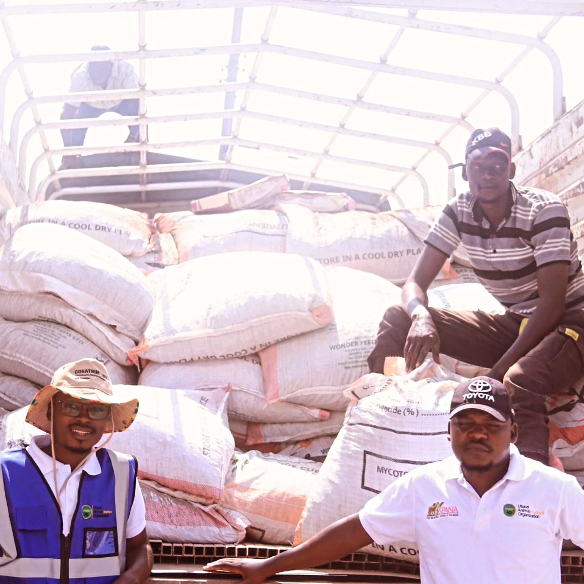 utunziafrica's tweet photo. In Nayuu village, Turkana County, camel-keeping households received life-saving range pellets to support their animals.
With support from @SPANAcharity, we are helping pastoralists protect the welfare of their camels in these tough times.
#UtunziAfrica #SPANA #WorkingAnimals https://t.co/9jKGwAwNwl