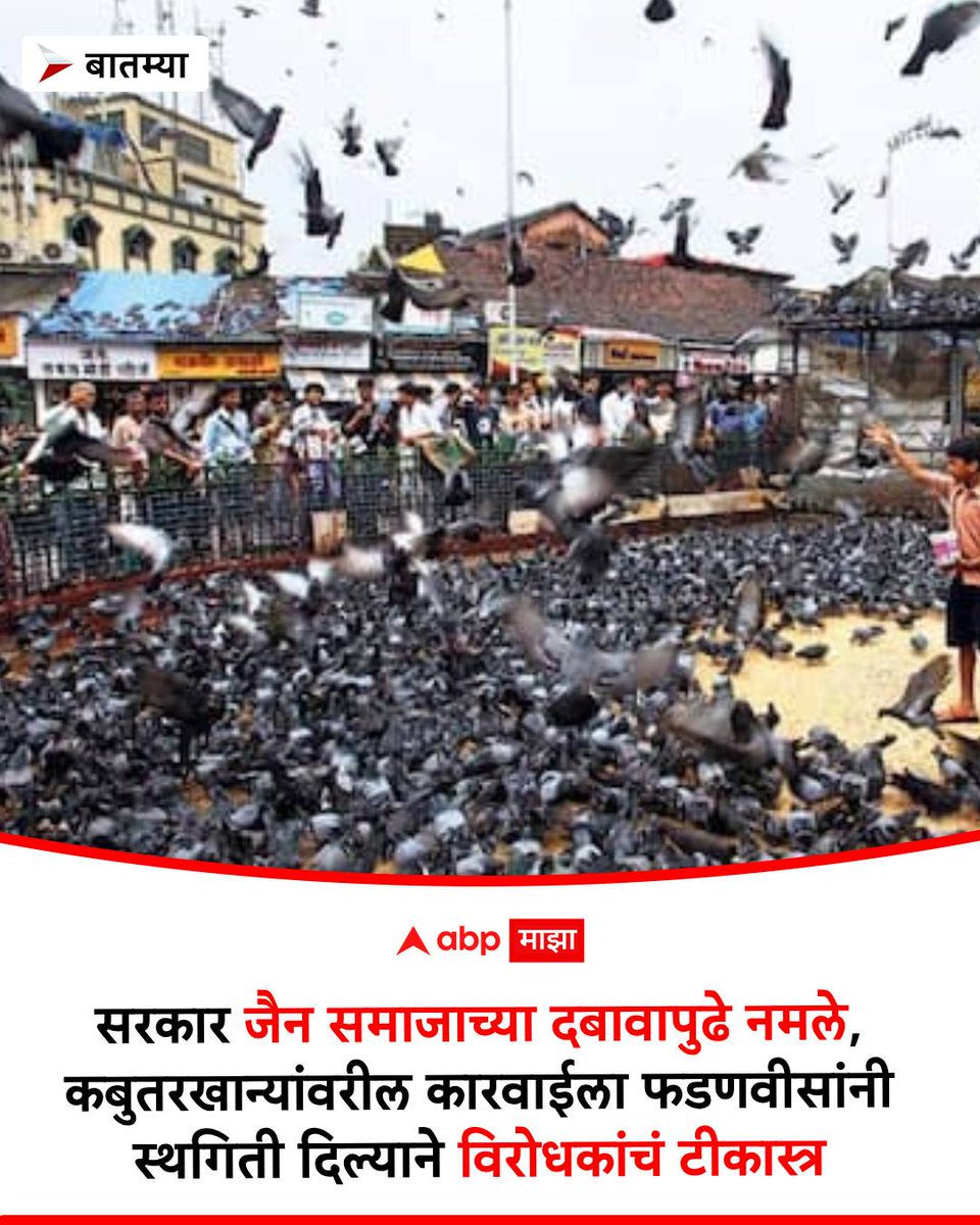 abpmajhatv's tweet photo. सरकार जैन समाजाच्या दबावापुढे नमले, कबुतरखान्यांवरील कारवाईला फडणवीसांनी स्थगिती दिल्याने विरोधकांचं टीकास्त्र https://t.co/aG56V2OfJv #Jainism #Dadar #Mumbai #Kabutarkhana #Piegons #DevendraFadanvis https://t.co/OzhuWfFscB