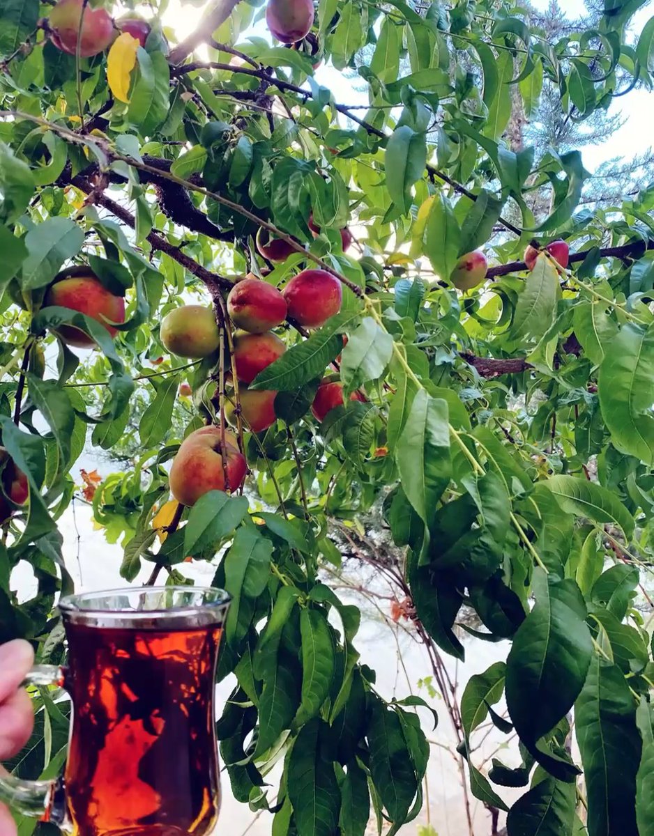 Ne garip bir çağ ki;

 Kıymet bilmek bile kıymetsiz hale geldi...