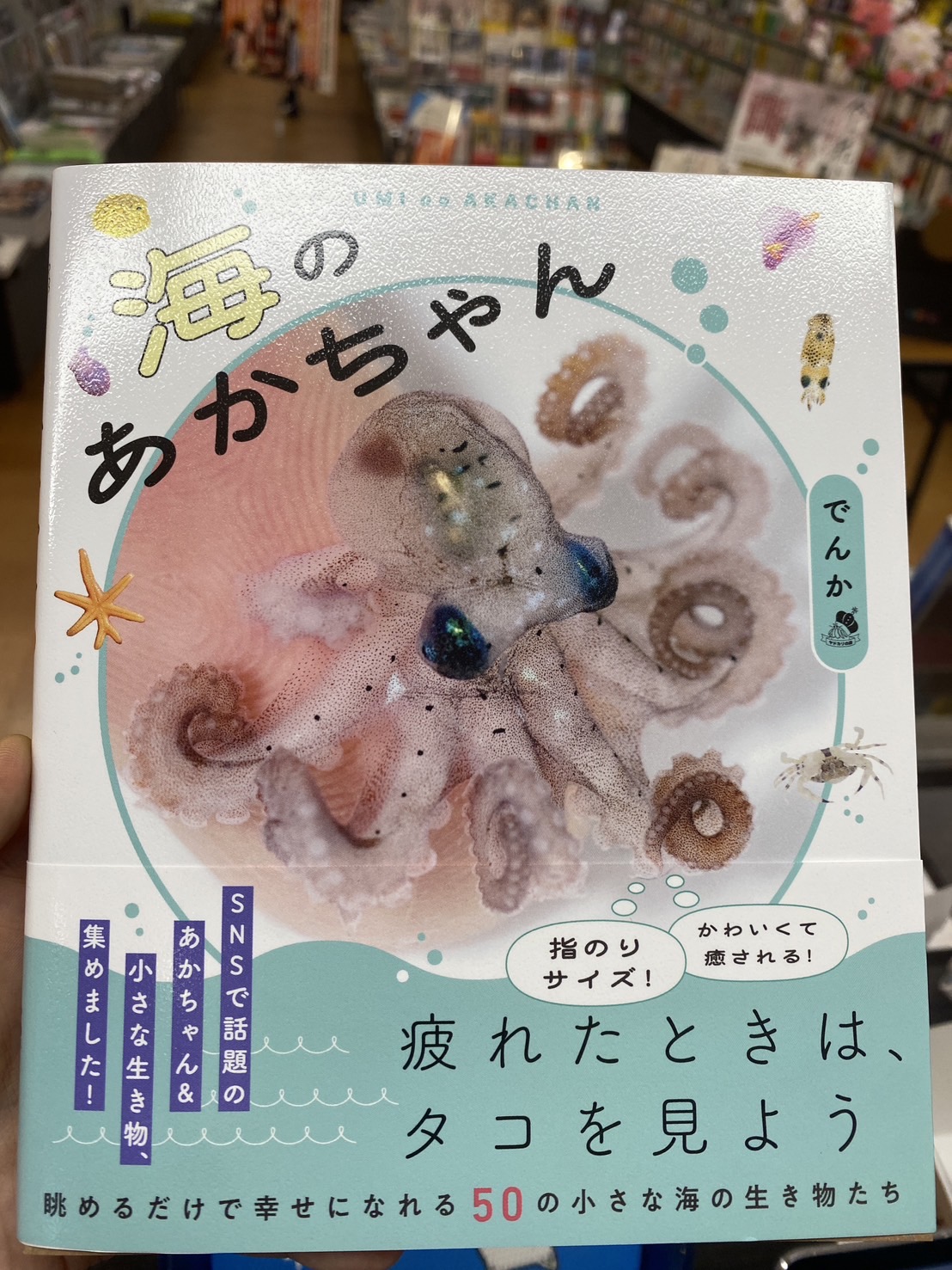 きのしたブックセンター on X: 