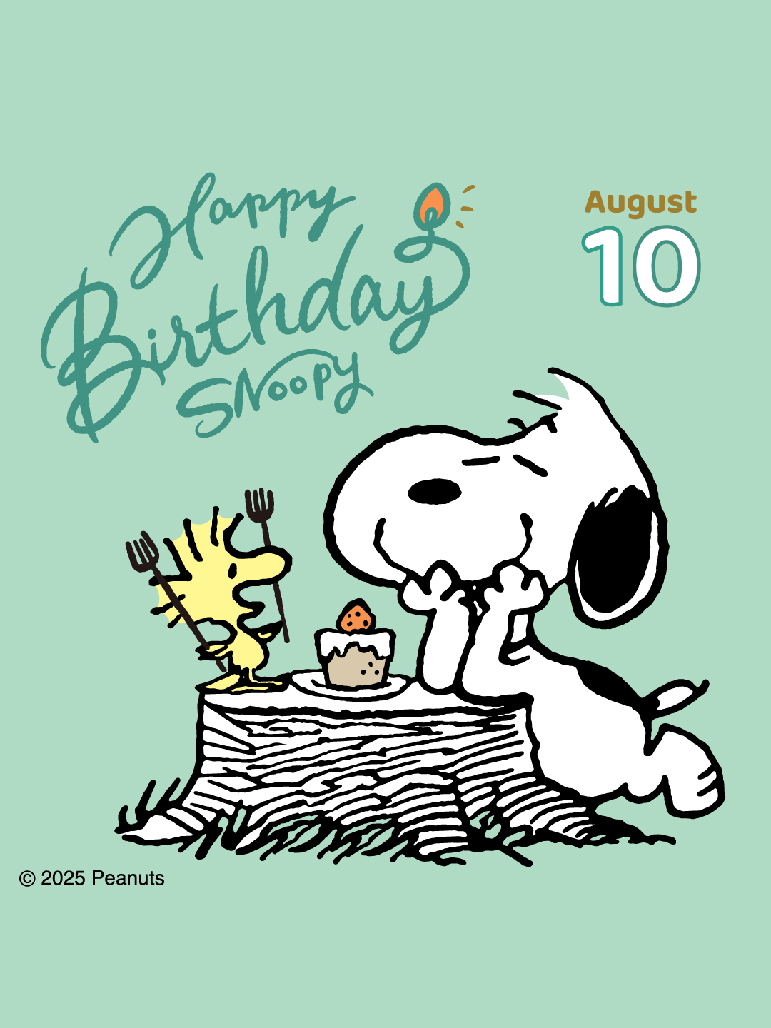PEANUTS SNOOPY 複製原画　スヌーピー　限定25 PEANUTS SNOOPY 複製原画 スヌーピー 限定25 絵画