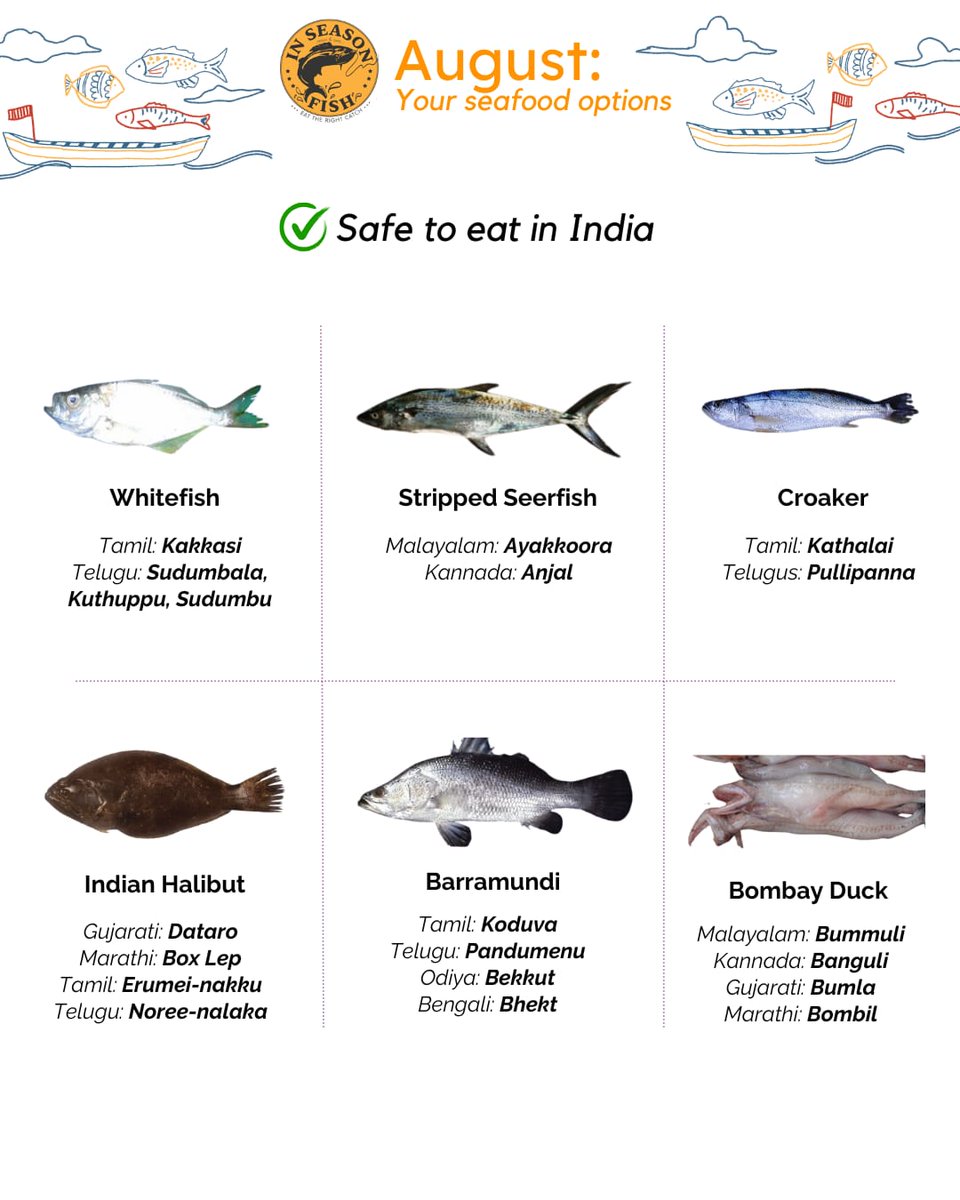 InSeason Fish tweet media