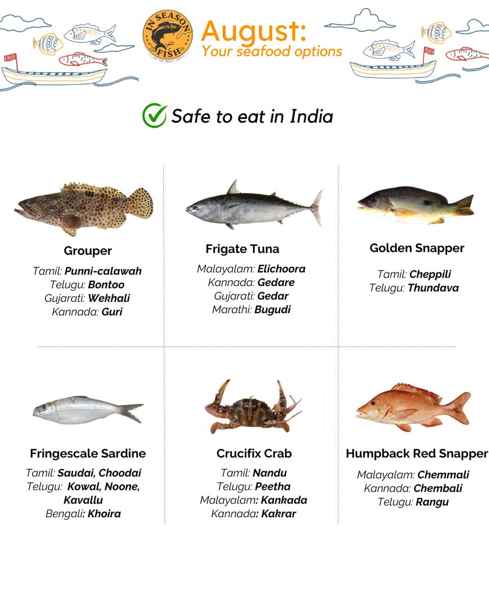 InSeason Fish tweet media