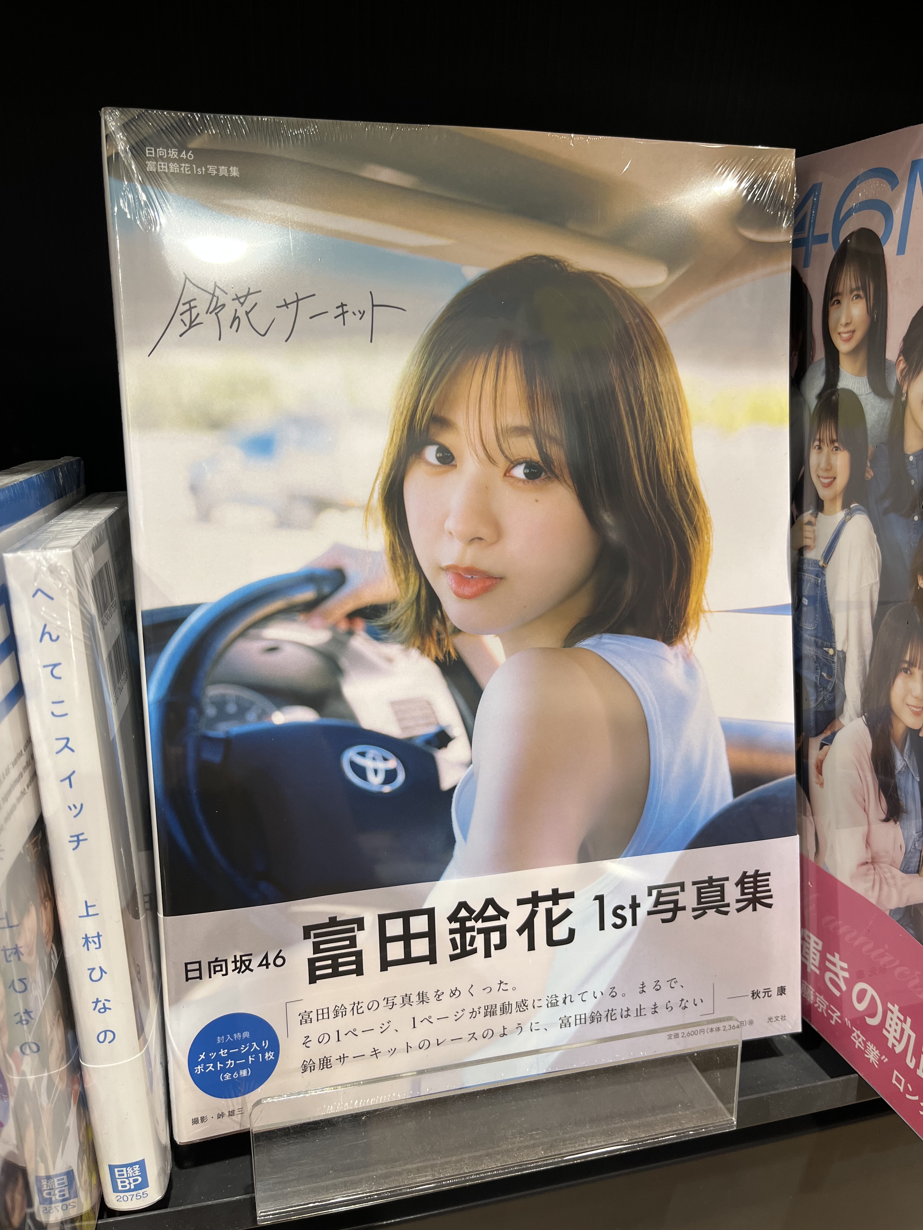 568❣️ 赤富士　松田真 日本画 作者 【 松田 真 】 タイトル 【 赤富士 】 f6 額縁の