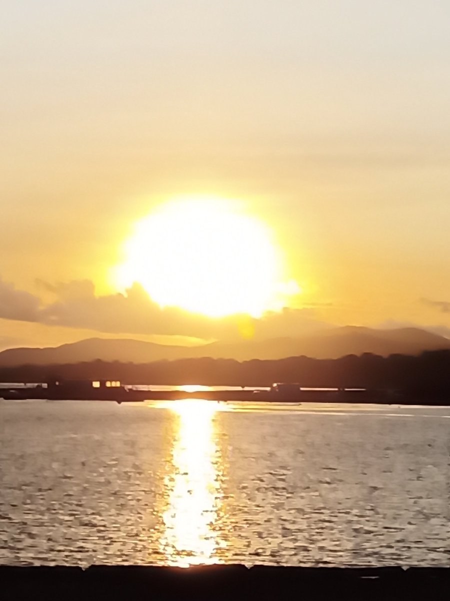 Roy Sleator tweet media