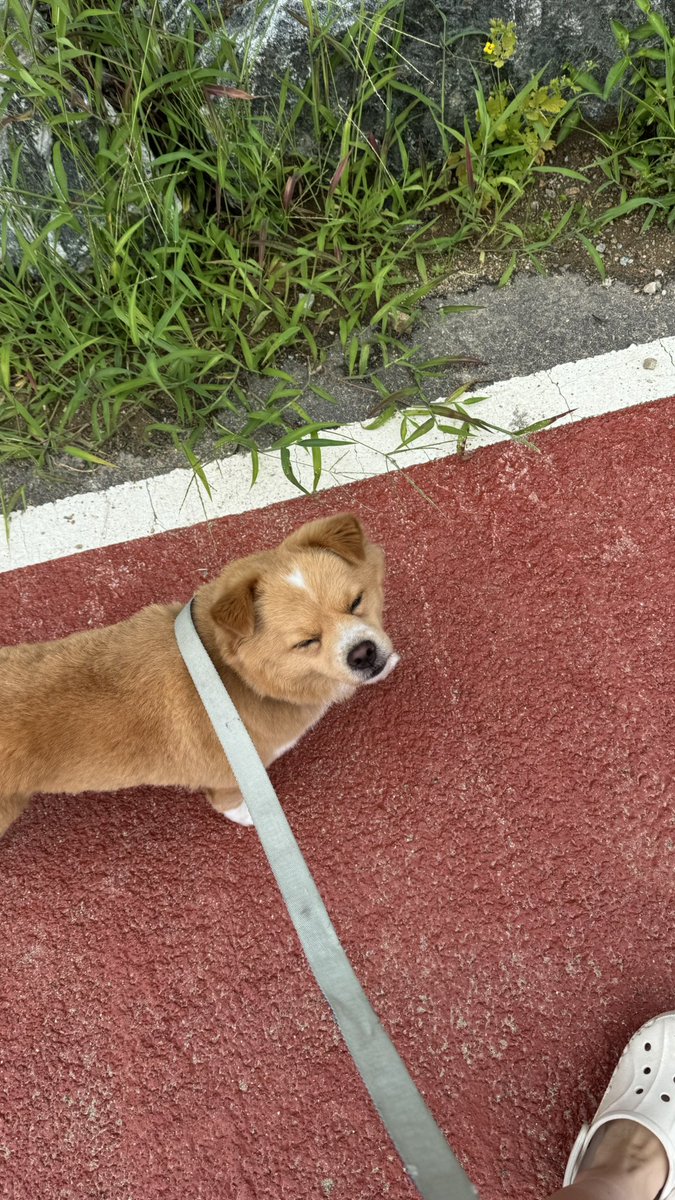 오늘도 여전히~~