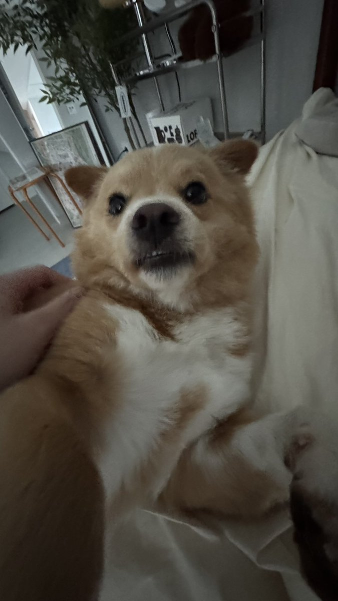 아이폰 0.5로 찍었더니 대박박 못생김