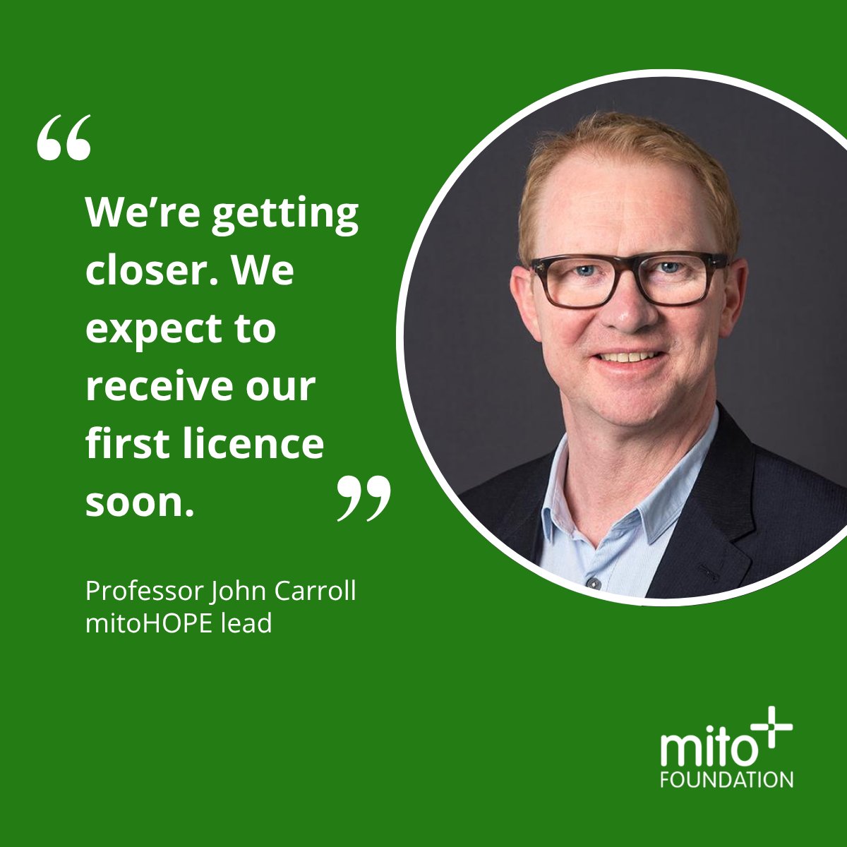 Mito Foundation tweet media