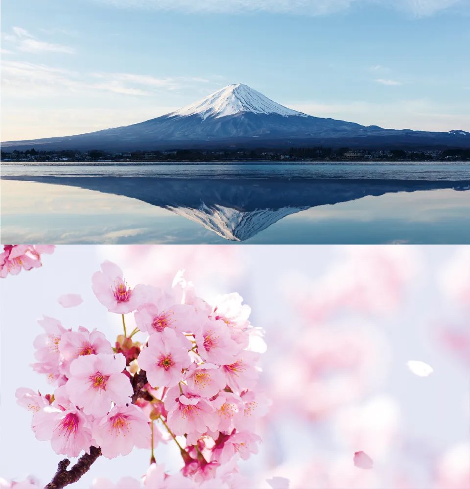 Sansei_Kanagawa's tweet photo. 今のままの政治では 日本が日本ではなくなってしまう 参政党はそんな危機感から有志が集まり、 ゼロからつくった国政政党です。  同じ想いを持った普通の国民が集まり、 「子供や孫の世代によい日本を残したい」 という想いひとつで活動を続けています。

理念・綱領
https://t.co/2snilO21Hd https://t.co/bB3Dx6vf9j