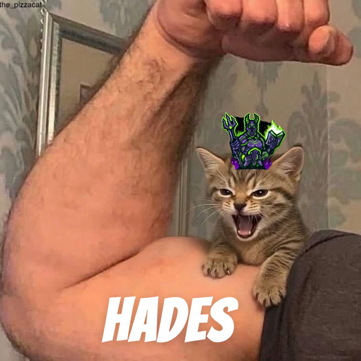 Malevolent Esports Club tweet media