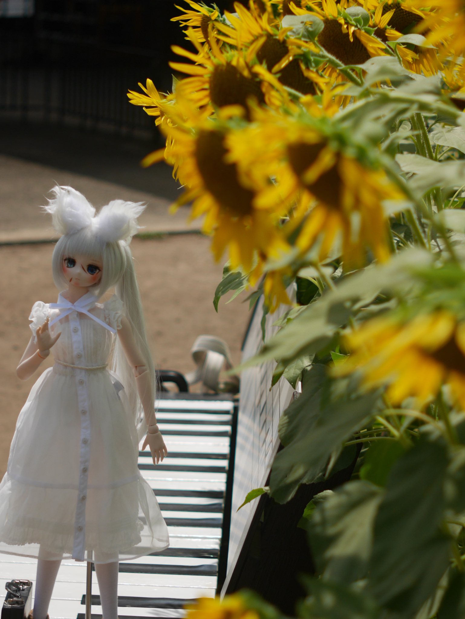 ももいろ*マンボウ (@momoiro_manbou) / X