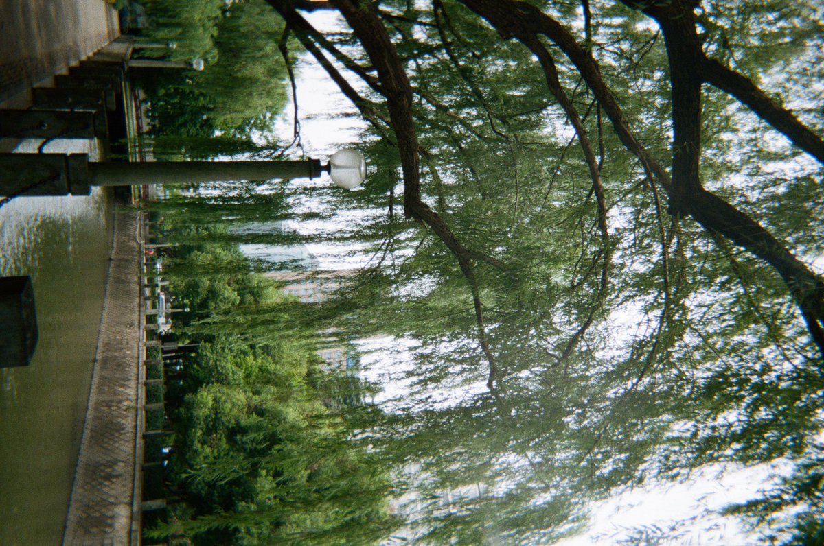 초록.물.버드나무 좋아하시는분들은무조건 항저우에가셔야합니다…