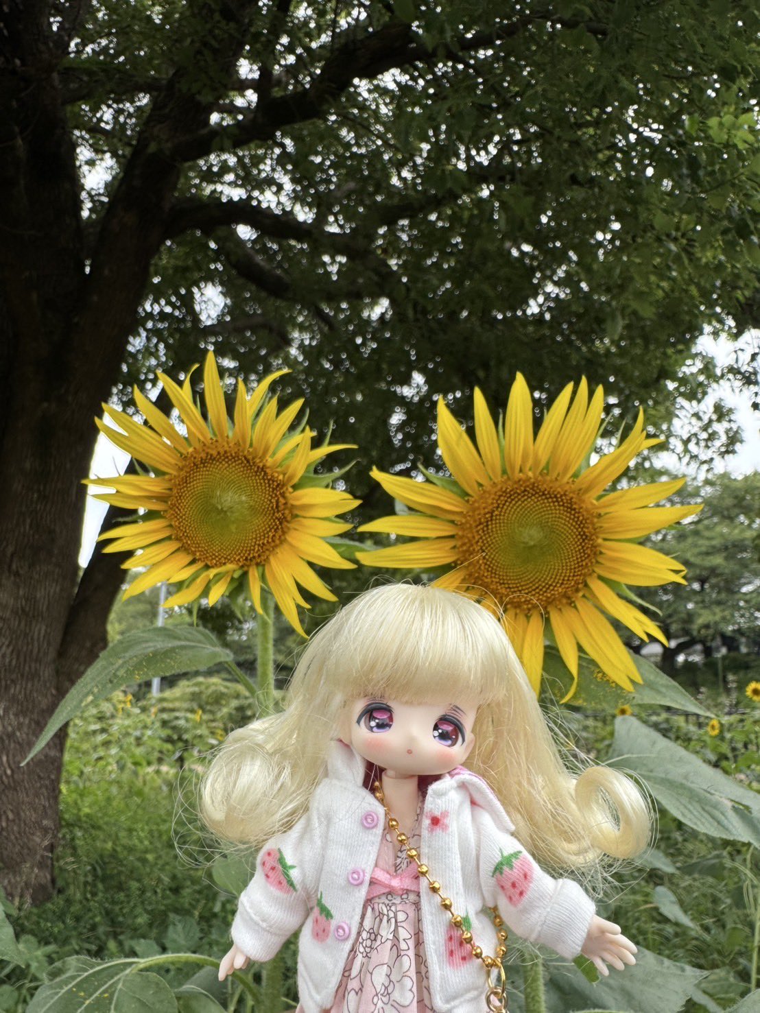 どんぐりアート♡元気いっぱいひまわり＆猫帽子オブジェ♡ どんぐりアート♡元気いっぱいひまわり＆猫帽子オブジェ