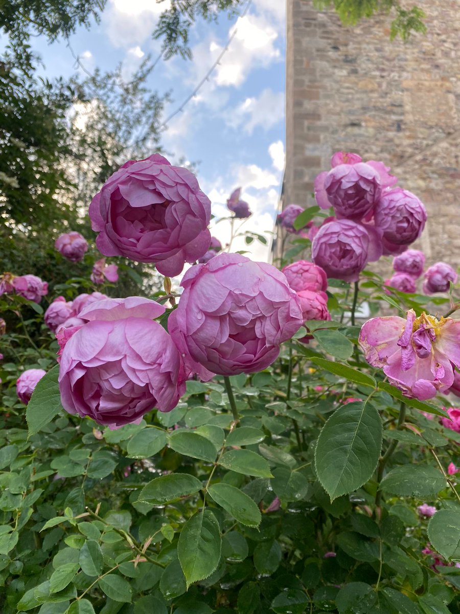 We're like books on a shelf. Most glance at our cover, some skim the intro, many trust the critics' reviews. But very few take the time to read our chapters, understand our story, and truly know our content.#GoodMorningEveryone