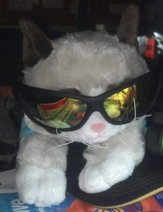 mrfluff3h's tweet photo. Happy 11th Birthday, Grumpy Football Jesus Cat.

@MNGFJC https://t.co/8TDN2I144u