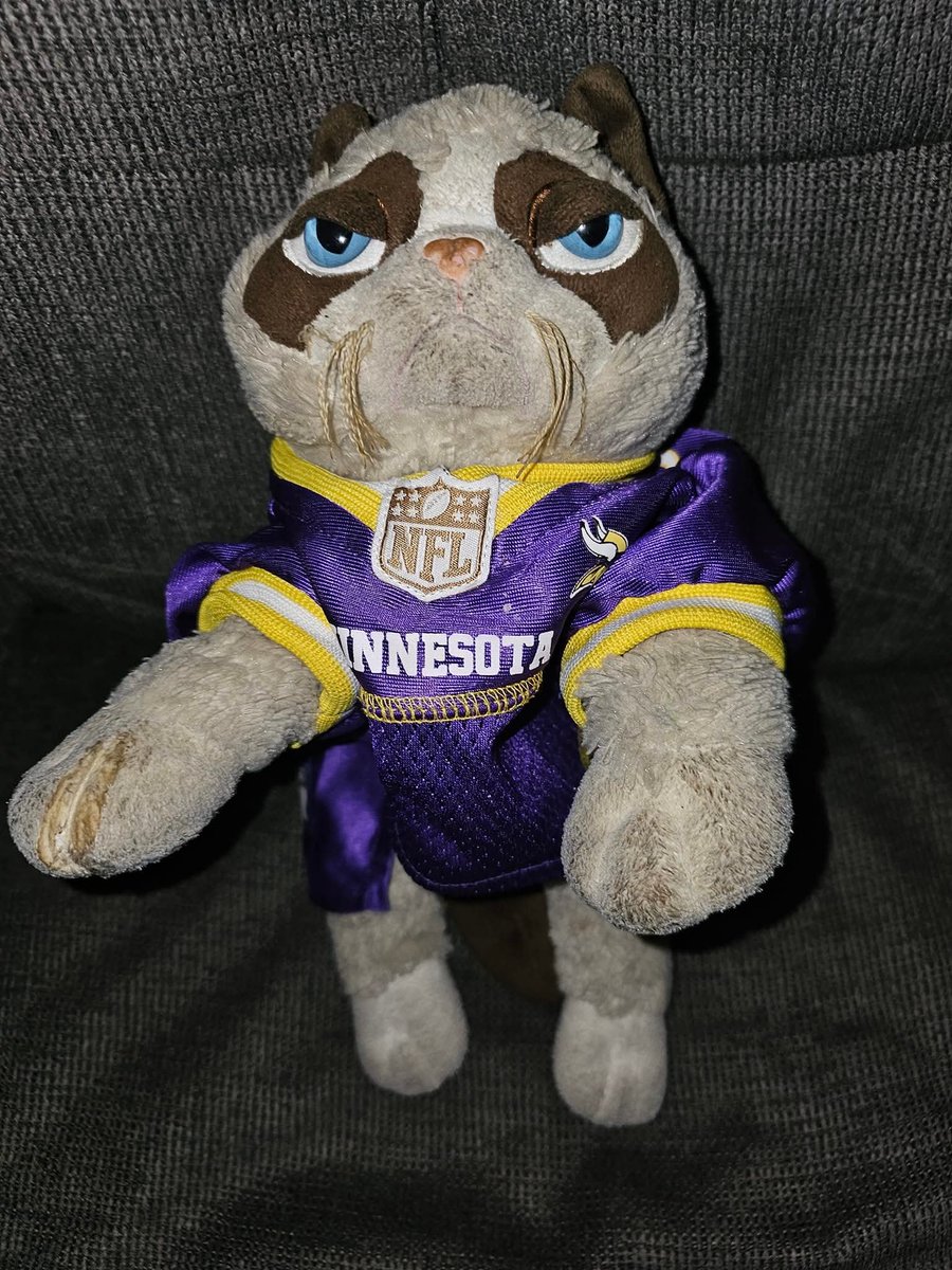 mrfluff3h's tweet photo. Happy 11th Birthday, Grumpy Football Jesus Cat.

@MNGFJC https://t.co/8TDN2I144u