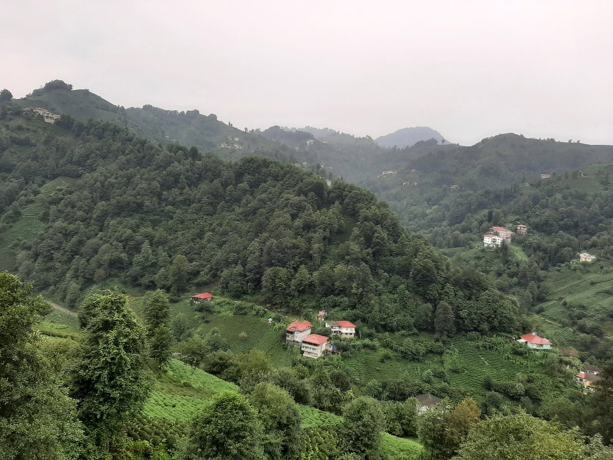 Yine dağların arasına sıkıştığım günlerden💚