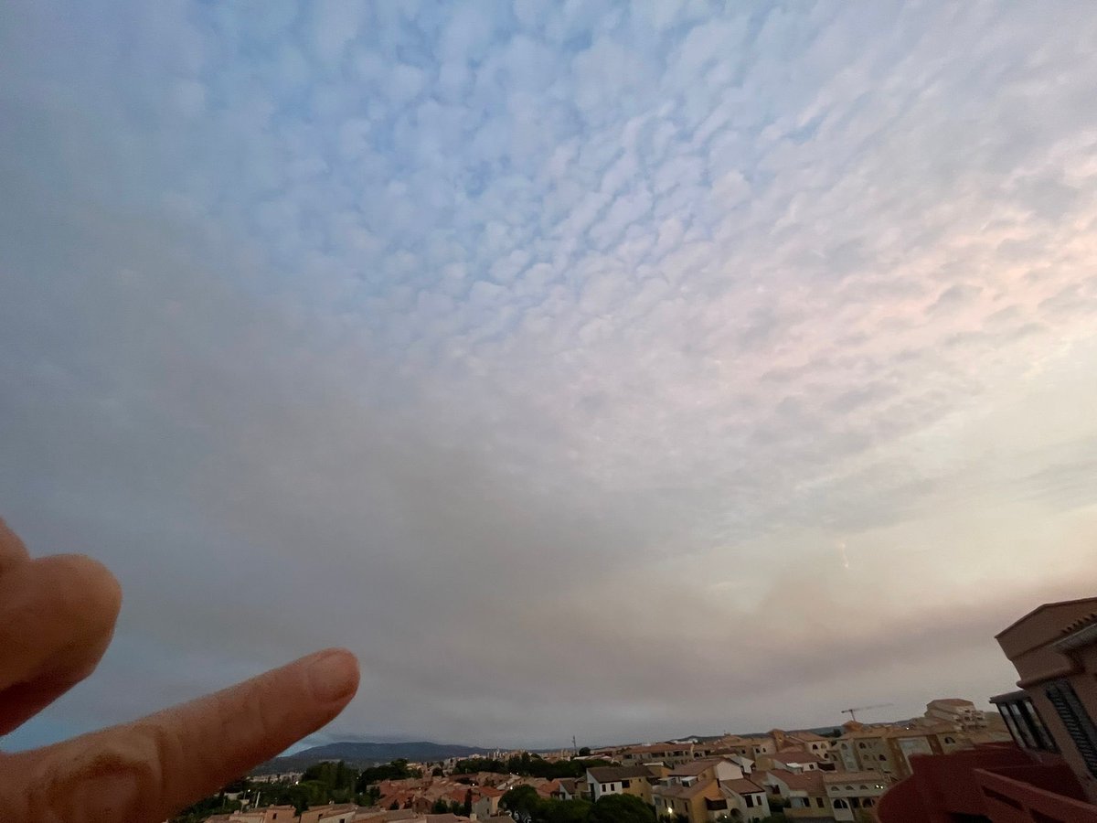 IsabelleMirocha's tweet image. A 40kms de là
#PortLeucate :
Mer couverte de cendres 
Soleil caché par les fumées ce matin comme hier
Tramontane qui repart
💔
Solidarité avec tous ceux touchés 
#incendie
#Aude
#Feu
(Photos de mes amis Maud Erick)