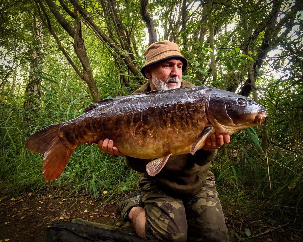 🏴☠️ Dave Little 🏴☠️🎣 tweet media