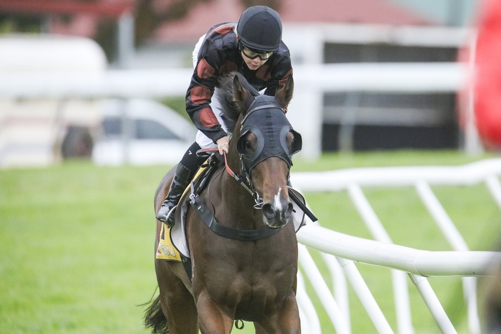 Racing NSW (@racing_nsw) on Twitter photo "He showed nice ability in his first two trials & obviously he’s gone on since then with a bit of time.”
Mel O'Gorman says TAB Highways are hard to win but feels Nation Changing is her best hope in a while at Randwick on Saturday.📸<a href="/Bradley_Photos/">Bradley Photos</a>
READ: tinyurl.com/mux7xnks "He showed nice ability in his first two trials & obviously he’s gone on since then with a bit of time.”
Mel O'Gorman says TAB Highways are hard to win but feels Nation Changing is her best hope in a while at Randwick on Saturday.📸<a href="/Bradley_Photos/">Bradley Photos</a>
READ: tinyurl.com/mux7xnks