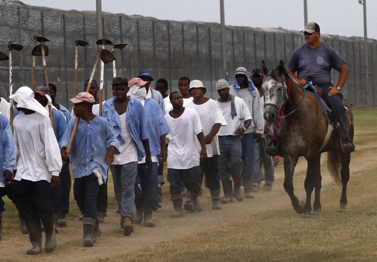 This former plantation turned into a prison for mostly Black people. Now, they plan to imprison immigrants there too. Just so everyone is clear, forced labor still occurs at Angola.