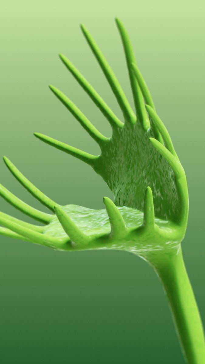 endlesstools's tweet image. Nature gives us inspiration all the time. You can find these beautiful wildflowers and plants in our latest collection, available now! #endlesstools #wildflowers #plants #nature #3d #3dmodel