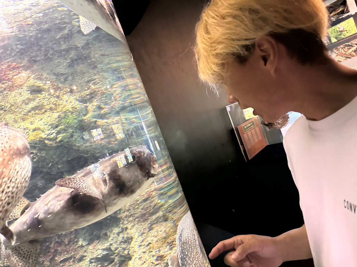 da_rauru's tweet photo. 新シーズンの為更新
スーパマンと張り合います
坂本龍馬とも張り合います
フグとは喧嘩します
誰でもウェルカム
ぼちぼち30🤞🤞🤞

#Apex自己紹介カード 
#Apex募集 
#Apexフレンド募集 
#ApexLegends 
#apex募集pc https://t.co/lx7lcU6JDm