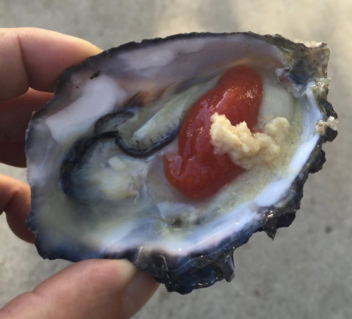 Happy National Oyster Day!

Loving it with some cocktail sauce, horseradish, and a squeeze of lemon.

Now I want some charbroiled ones!

#nationaloysterday #foodcalendar #foodholiday #oysters
