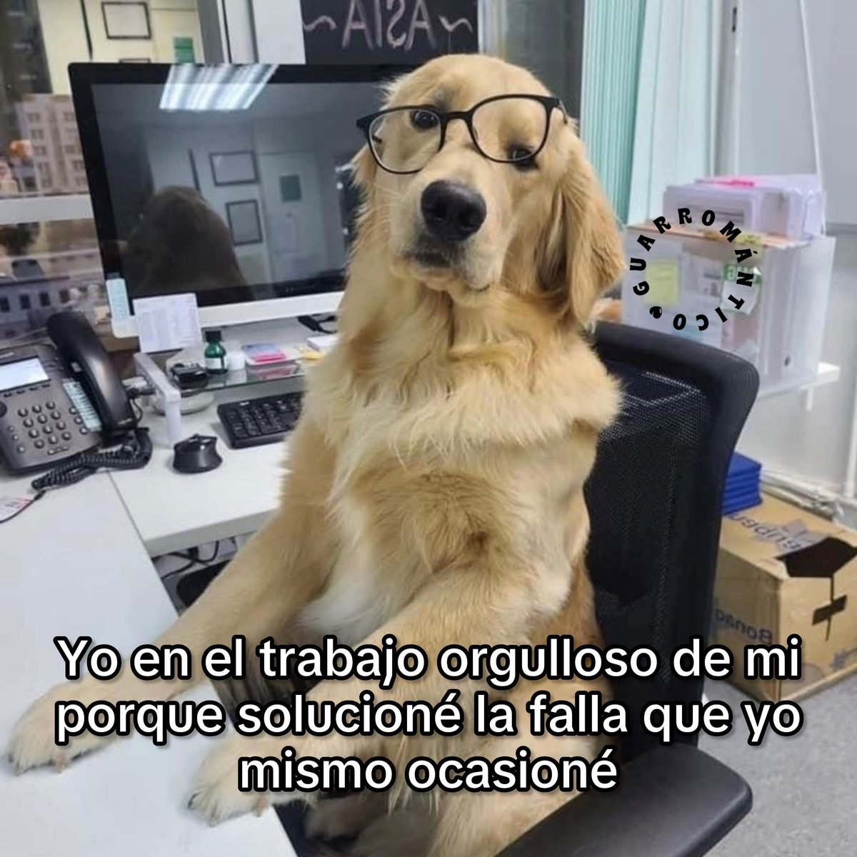 Frases Barbie tweet media