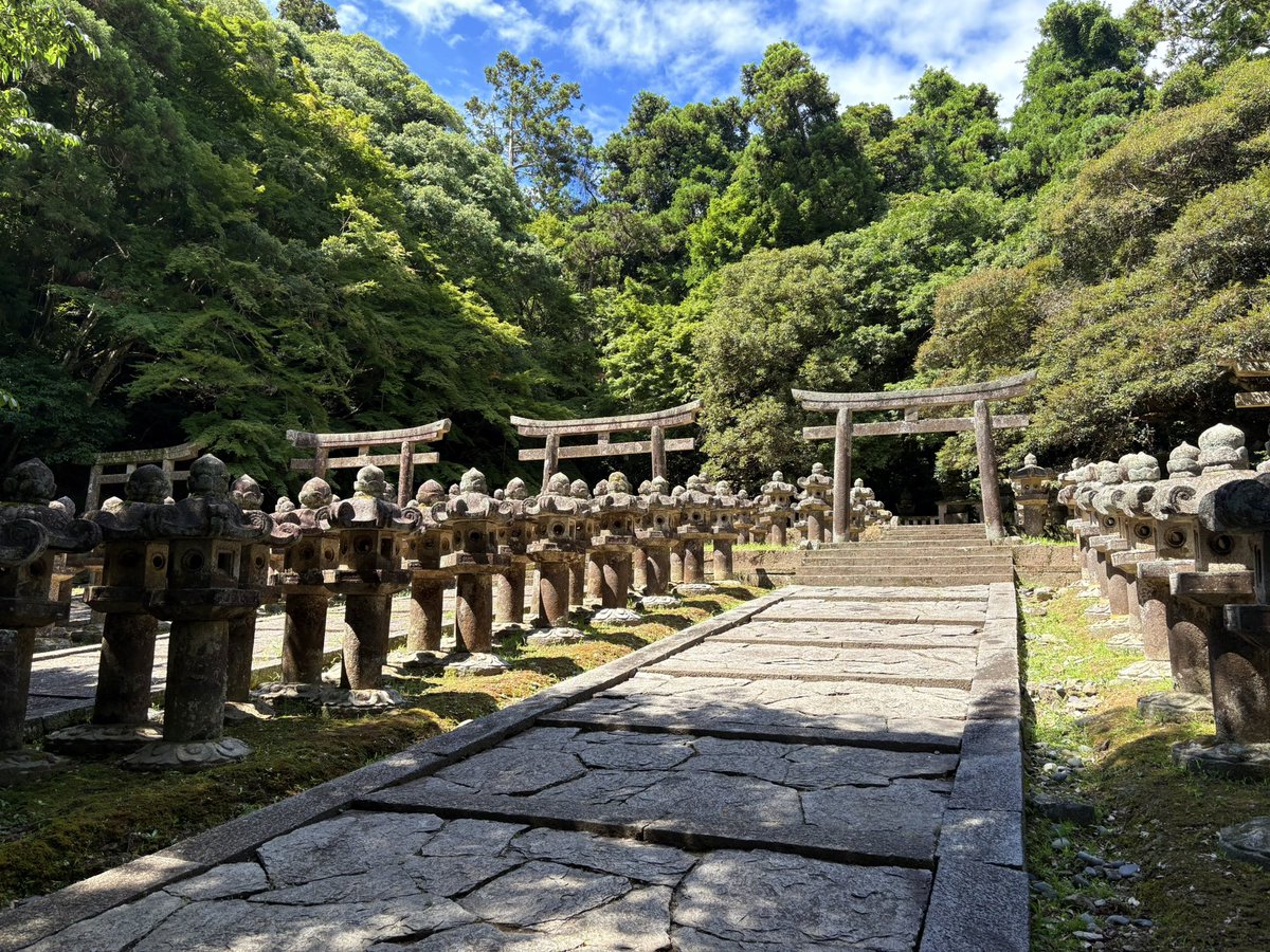 萩 小さい頃通ってた店が無くなってたりそもそも人が少なかったり…景色の移ろいが人がいない事によるものを沢山見て何とも筆舌に尽くし難い 魅力たくさんなのに…飯美味いし