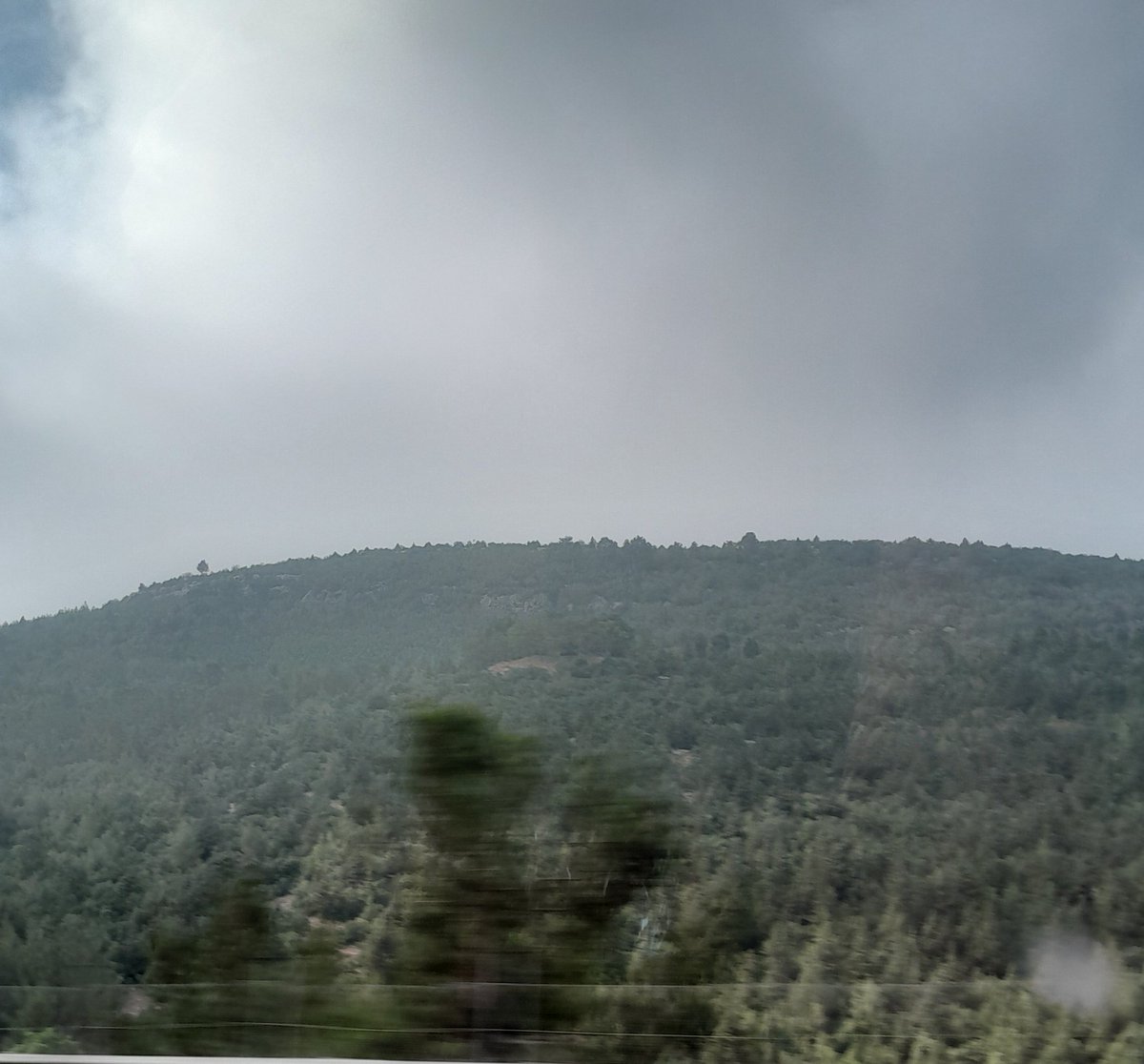 Açınca gözlerimi
Gitsin bütün kötülükler
Bir sürpriz yapsın hayat bana
Desin ki;
Hepsi bir şakaydı
Hadi bu sabah yeniden başla
İşte sana güneş
İşte kuşlar ağaçlar
Bitti bütün karanlıklar
Uçup gitti acılar... 

𝘎𝘶̈𝘯𝘢𝘺𝘥ı𝘯... ❥
#Yeni_Güne #Çarşamba