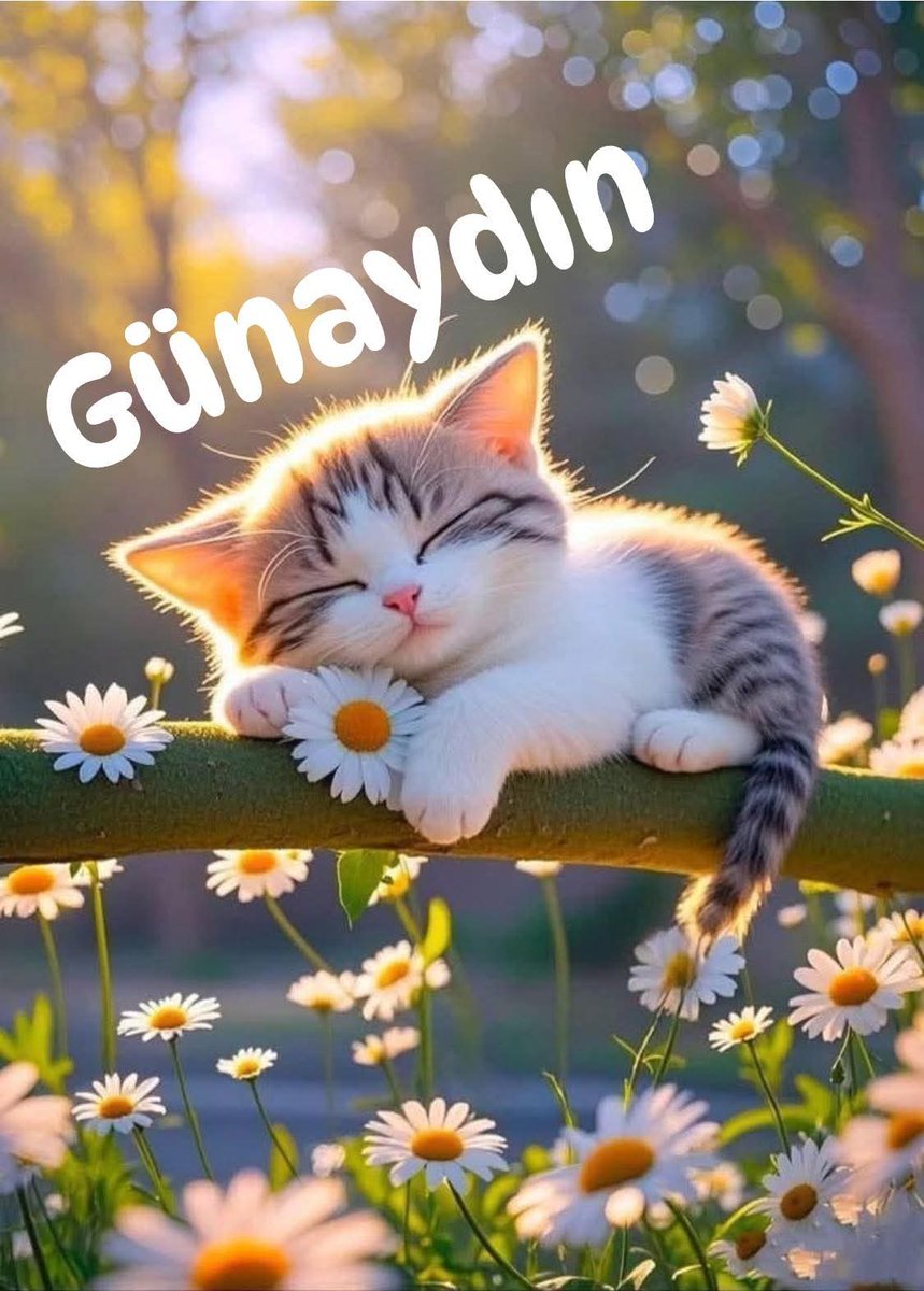 Günaydın 
Huzur Dolu 
Sağlıklı 
Mutlu 
Güzel Günler Olsun 🤗☕🐞🍫🦋🍃🌅🕊️💦🇹🇷