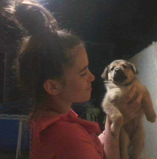 FlorPagliero_'s tweet photo. volves en auto a la madrugada -> ves un cachorro solo en la calle -> das la vuelta manzana para ver si sigue,te esta esperando en la puerta -> sube -> llegas a tu casa y decis 'querían un perro acá tienen' -> perro nuevoh (narrado en 3ra persona ese fue mi padre xd) = 12 años dsp https://t.co/0KXoSR47VU